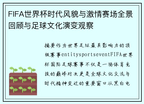 FIFA世界杯时代风貌与激情赛场全景回顾与足球文化演变观察